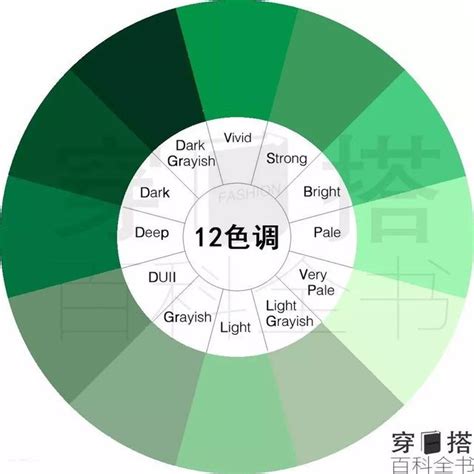 色彩學 綠色|設計配色完整攻略 